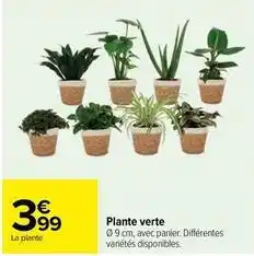 Carrefour Plantes offre