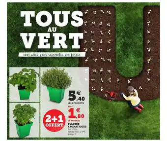 Super U Plantes Aromatiques offre