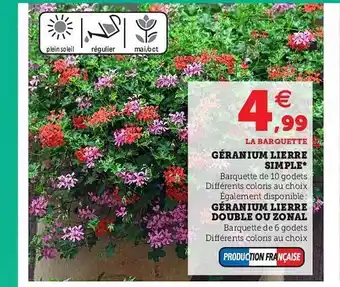 Super U Géranium Lierre Simple, Géranium Lierre Double Ou Zonal offre