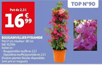 Auchan BOUGAINVILLIER PYRAMIDE offre