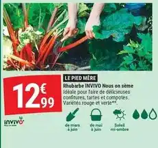 Auchan Taureau ailé - riz basmati tomates & epices garam masala offre