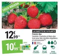 Auchan Snickers - minis offre