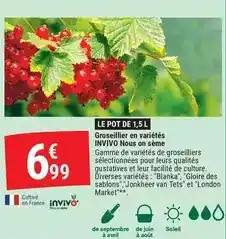 Auchan Auchan - eau minérale gazeuse offre