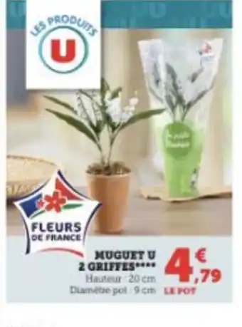 Super U MUGUET U offre