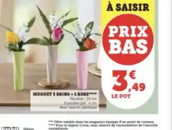 Super U Muguet 3 brins +1 rose offre