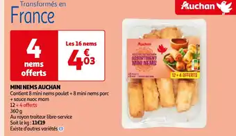 Auchan MINI NEMS AUCHAN offre