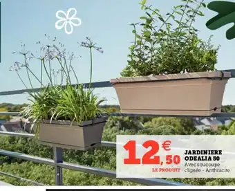 Hyper U JARDINIERE offre