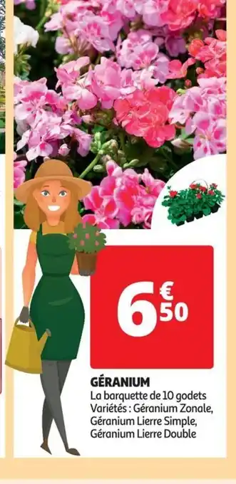 Auchan GÉRANIUM offre