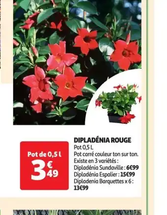 Auchan DIPLADÉNIA ROUGE Pot 0,5 L offre