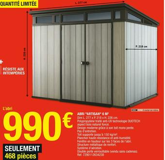 Brico Dépôt Abri "artisan" 6 m2 offre