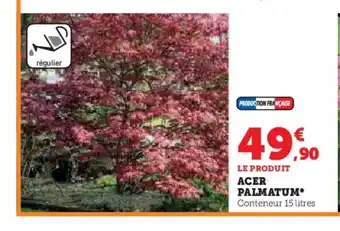 Hyper U ACER PALMATUM offre