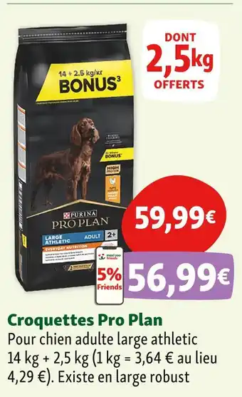 Maxi Zoo Pro Plan Croquettes offre