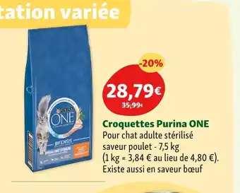 Maxi Zoo Purina ONE Croquettes offre