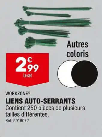 ALDI WORKZONE LIENS AUTO-SERRANTS offre