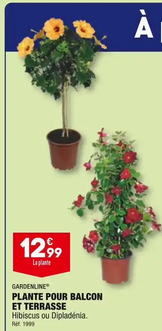 ALDI GARDENLINE PLANTE POUR BALCON ET TERRASSE offre