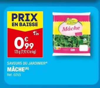 ALDI SAVEURS DU JARDINIER MÂCHE offre