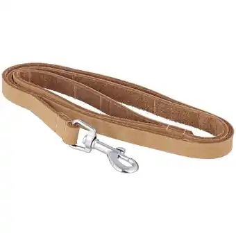 Laisse pour chiens Beasty