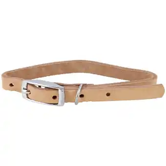 Laisse en cuir