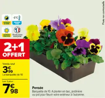 Carrefour Pensée offre