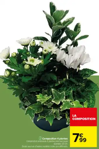 Carrefour Composition 4 plantes offre