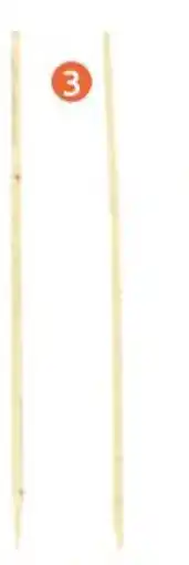 Rural Master TUTEUR ACACIA H. 1.70 M offre