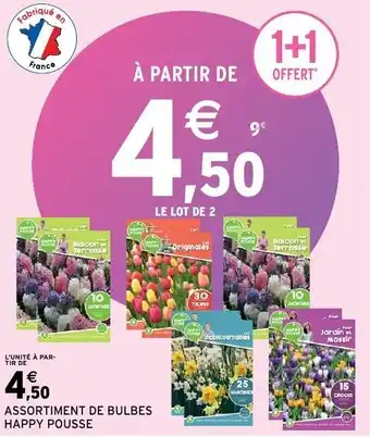 Intermarché Assortiment de bulbes happy pousse offre