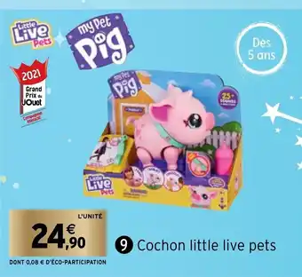 Intermarché Cochon Little Live Pets offre
