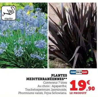 Super U PLANTES MEDITERRANÉENNES** offre