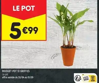 Leader Price Muguet pot 10 griffes offre