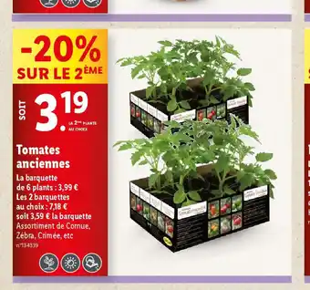 Lidl Tomates anciennes offre