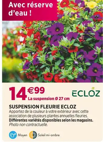 Delbard ECLOZ SUSPENSION FLEURIE offre