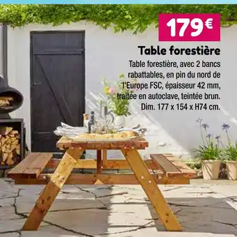 Point Vert Table forestière offre