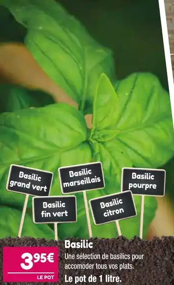 Point Vert Basilic offre