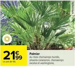 Carrefour Palmier offre