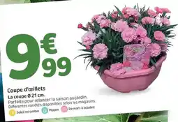 Carrefour Estribos - tequila blanco offre