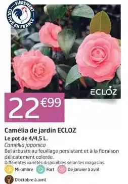 Carrefour Vileda - kit ultramax power offre