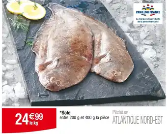 Cora x Carrefour PAVILLON FRANCE Sole offre