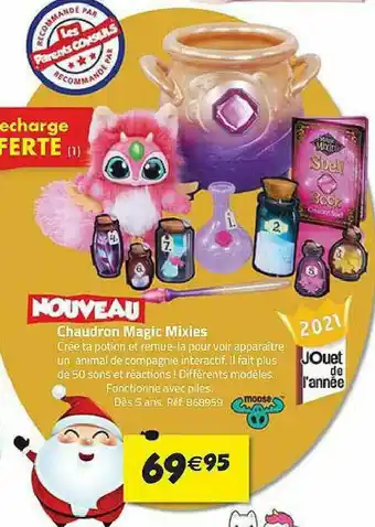 Chaudron Magic Mixies