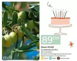 Intermarché Grand'mère - dosettes de café classique offre