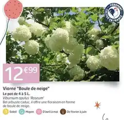 Intermarché Mir - liquide vaisselle secrets de nos régions verger de provence pêche de vigne & melon offre