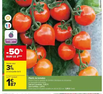 Carrefour Plants de tomates offre