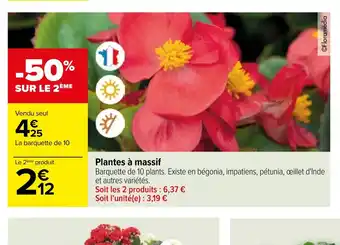 Carrefour Plantes à massif offre