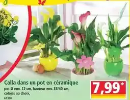 Auchan Supermarché Fairy - tablette lave-vaisselle platinum plus offre
