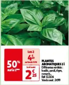 Auchan Plantes aromatiques offre