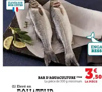 Super U BAR D'AQUACULTURE offre