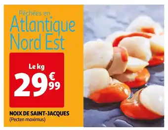 Auchan NOIX DE SAINT-JACQUES (Pecten maximus) offre