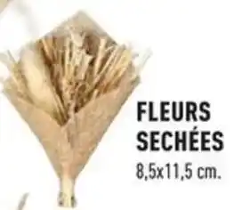 Centrakor FLEURS SECHÉES offre