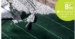 Carrefour Plancha offre