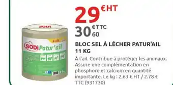 Rural Master BLOC SEL À LÉCHER PATUR'AIL 11 KG offre