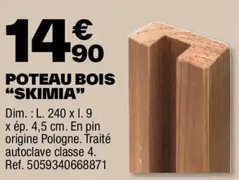 Brico Dépôt POTEAU BOIS "SKIMIA” offre